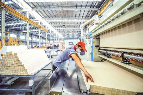 永川以教育咨询服务为支点，助推成渝地区双城经济圈建设落地生根