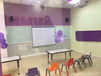 睿廷教育咨询 专业引领，点亮未来教育之路